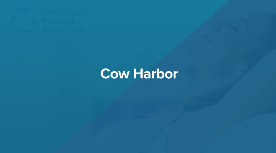 Cow-Harbor