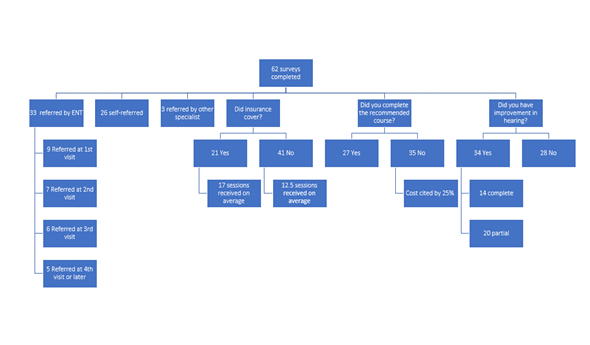 Surveny Outcomes for HBOT for SNNHL - R. Byrne Research - Nov.22