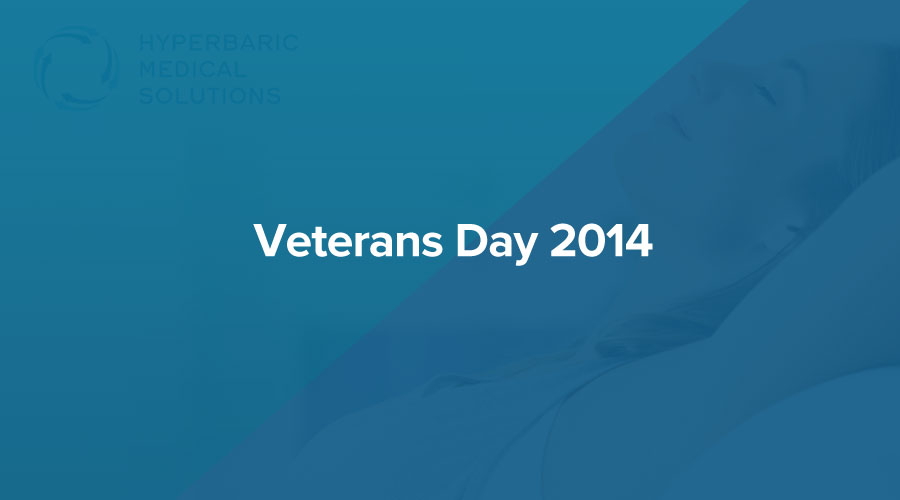 Veterans-Day-2014.jpg